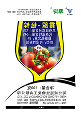 翠诗