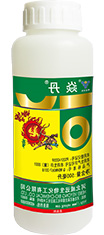 焱丹